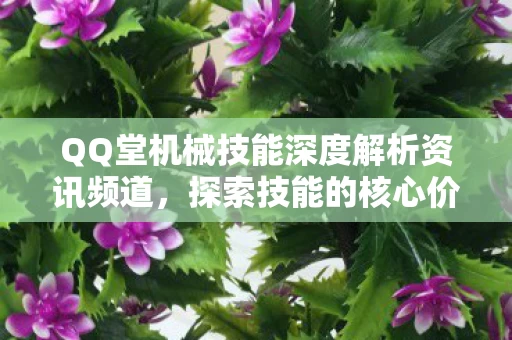 QQ堂机械技能深度解析资讯频道图片