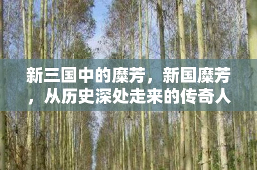 新三国中的糜芳，新国糜芳，从历史深处走来的传奇人物