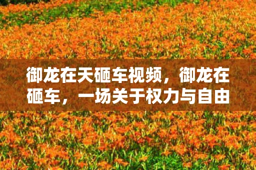 御龙在天砸车视频，御龙在砸车，一场关于权力与自由的荒诞剧