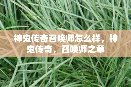 神鬼传奇召唤师怎么样，神鬼传奇，召唤师之章