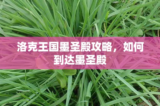 洛克王国墨圣殿攻略图片