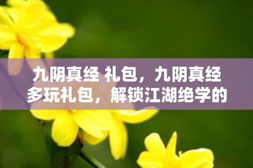 九阴真经 礼包，九阴真经多玩礼包，解锁江湖绝学的神秘钥匙