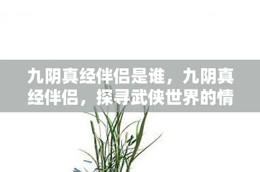 九阴真经伴侣是谁，九阴真经伴侣，探寻武侠世界的情感纽带