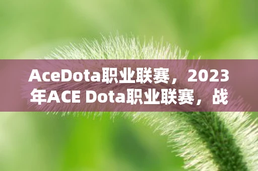AceDota职业联赛，2023年ACE Dota职业联赛，战火重燃，群雄逐鹿