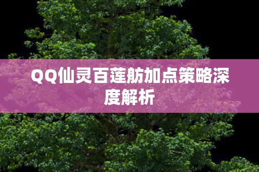 QQ仙灵百莲舫加点策略深度解析图片