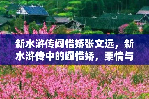 新水浒传阎惜娇张文远，新水浒传中的阎惜娇，柔情与决绝的交织