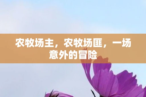 农牧场主，农牧场匪，一场意外的冒险