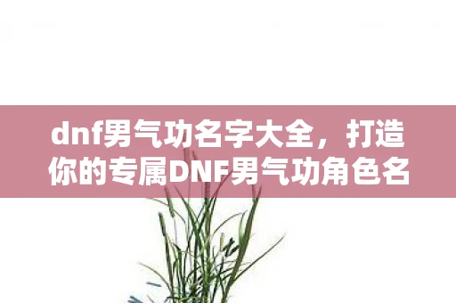 dnf男气功名字大全，打造你的专属DNF男气功角色名