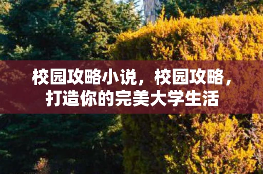校园攻略小说，校园攻略，打造你的完美大学生活