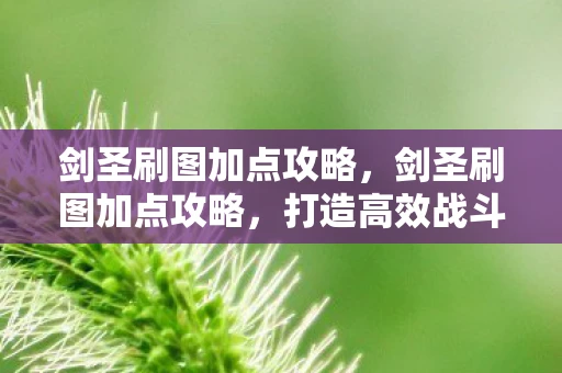 剑圣刷图加点攻略，剑圣刷图加点攻略，打造高效战斗流程