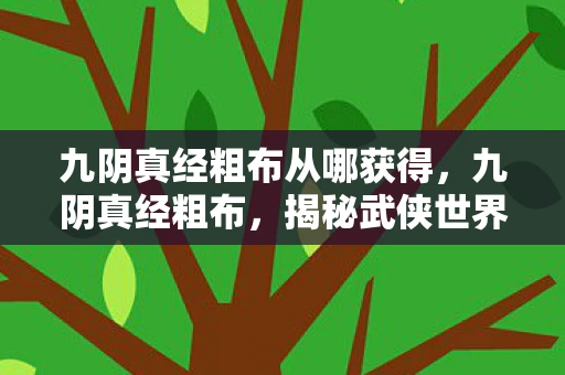 九阴真经粗布从哪获得，九阴真经粗布，揭秘武侠世界中的神秘织物