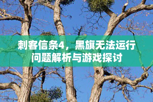 黑旗无法运行问题解析与游戏探讨图片