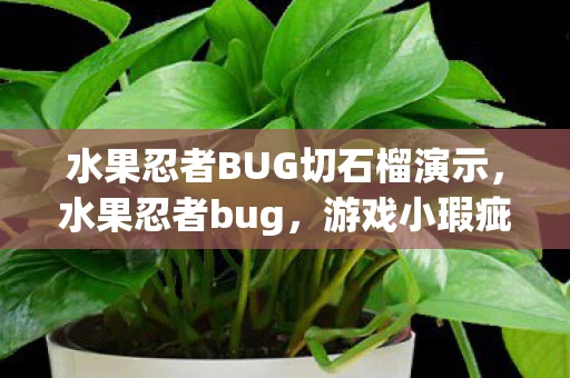 水果忍者BUG切石榴演示，水果忍者bug，游戏小瑕疵还是大困扰？