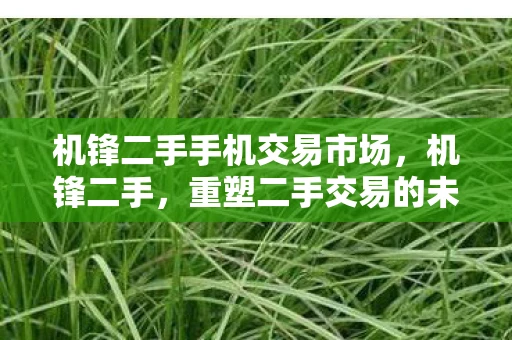 机锋二手手机交易市场，机锋二手，重塑二手交易的未来