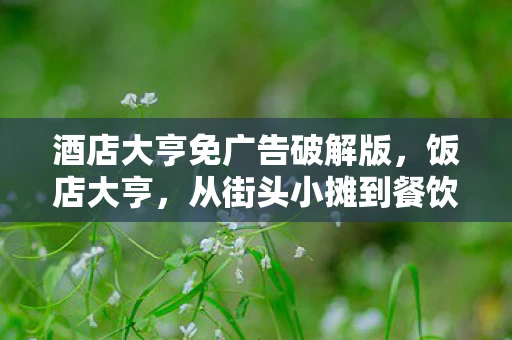 酒店大亨免广告破解版，饭店大亨，从街头小摊到餐饮帝国的传奇之路