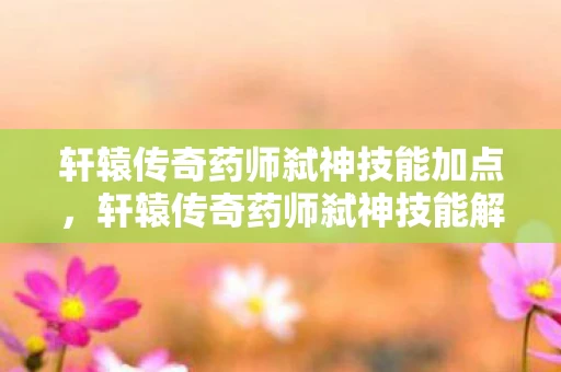 轩辕传奇药师弑神技能加点，轩辕传奇药师弑神技能解析