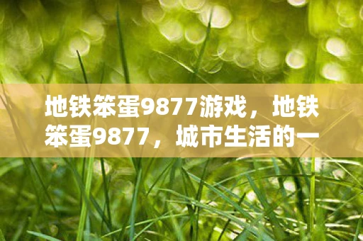 地铁笨蛋9877游戏，地铁笨蛋9877，城市生活的一抹幽默