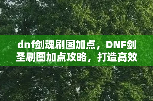 dnf剑魂刷图加点，DNF剑圣刷图加点攻略，打造高效战斗力的关键