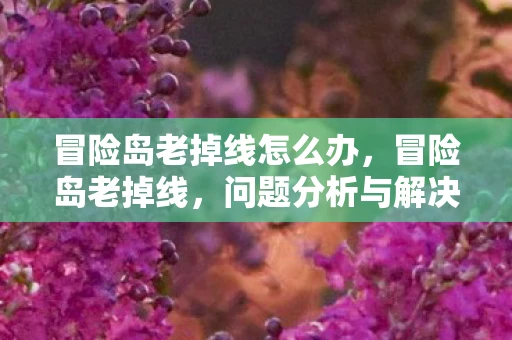 冒险岛老掉线怎么办，冒险岛老掉线，问题分析与解决方案