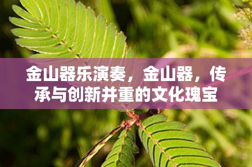 金山器乐演奏，金山器，传承与创新并重的文化瑰宝
