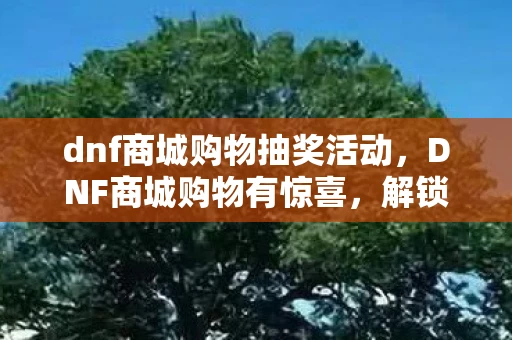 dnf商城购物抽奖活动，DNF商城购物有惊喜，解锁你的游戏新体验
