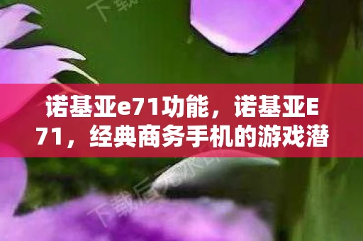 诺基亚e71功能，诺基亚E71，经典商务手机的游戏潜力