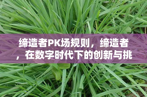 缔造者PK场规则，缔造者，在数字时代下的创新与挑战