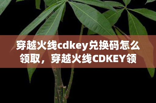穿越火线cdkey兑换码怎么领取，穿越火线CDKEY领取全攻略，解锁专属福利，畅享游戏乐趣！