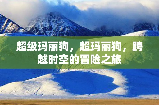 超级玛丽狗，超玛丽狗，跨越时空的冒险之旅