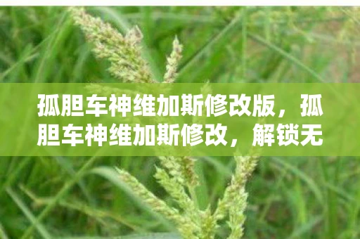 孤胆车神维加斯修改版，孤胆车神维加斯修改，解锁无限可能的秘籍