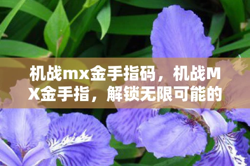 机战mx金手指码，机战MX金手指，解锁无限可能的战斗模拟器