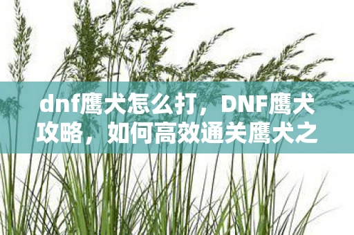 dnf鹰犬怎么打，DNF鹰犬攻略，如何高效通关鹰犬之森
