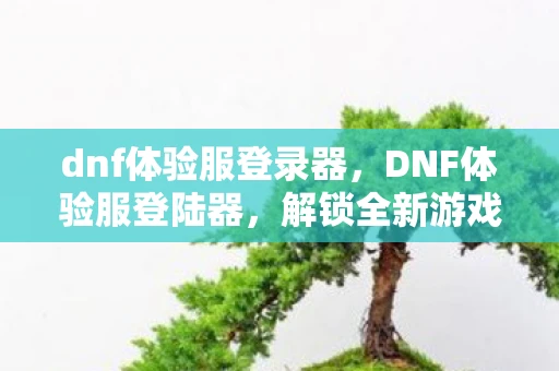 dnf体验服登录器，DNF体验服登陆器，解锁全新游戏体验的钥匙
