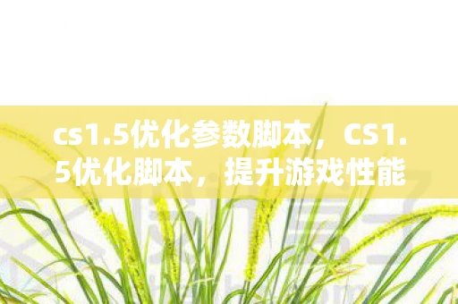 cs1.5优化参数脚本，CS1.5优化脚本，提升游戏性能与流畅度的关键
