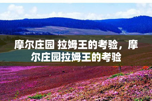 摩尔庄园 拉姆王的考验，摩尔庄园拉姆王的考验