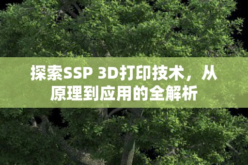 探索SSP 3D打印技术，从原理到应用的全解析