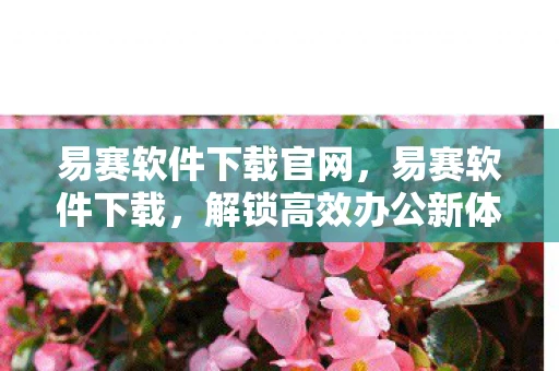 易赛软件下载官网，易赛软件下载，解锁高效办公新体验