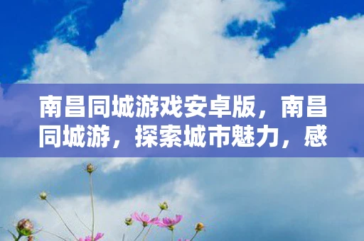 南昌同城游戏安卓版，南昌同城游，探索城市魅力，感受文化韵味