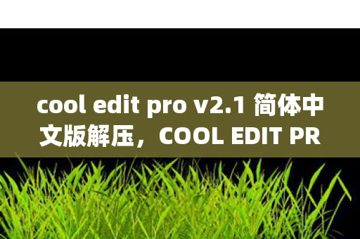 cool edit pro v2.1 简体中文版解压，COOL EDIT PRO V2.1 简体中文版，音频编辑的得力助手
