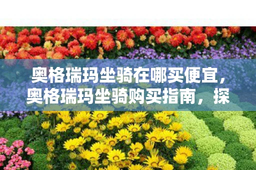 奥格瑞玛坐骑在哪买便宜，奥格瑞玛坐骑购买指南，探索游戏中的珍贵坐骑