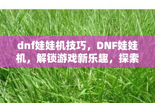 dnf娃娃机技巧，DNF娃娃机，解锁游戏新乐趣，探索无限可能