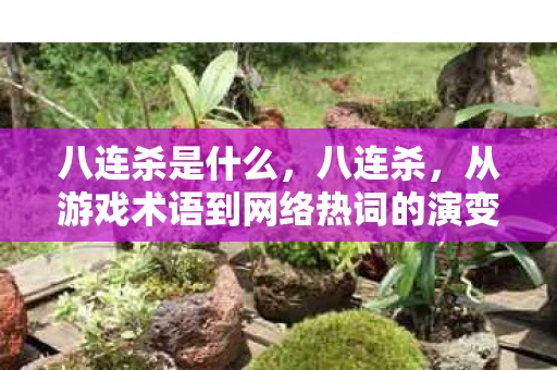 八连杀是什么，八连杀，从游戏术语到网络热词的演变