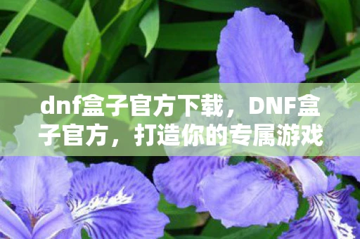 dnf盒子官方下载，DNF盒子官方，打造你的专属游戏宝藏