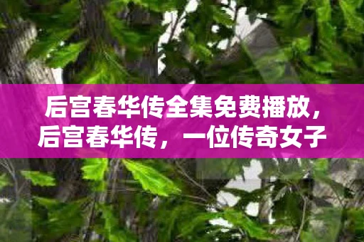 后宫春华传全集免费播放，后宫春华传，一位传奇女子的宫廷风云