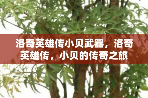 洛奇英雄传小贝武器，洛奇英雄传，小贝的传奇之旅