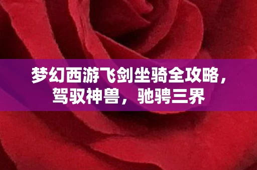 梦幻西游飞剑坐骑全攻略图片