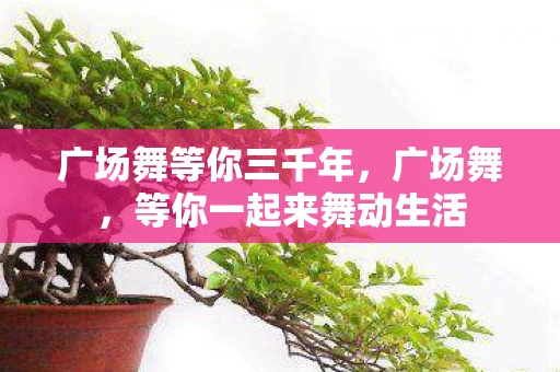 广场舞等你三千年，广场舞，等你一起来舞动生活