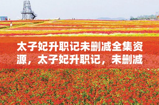 太子妃升职记未删减全集资源，太子妃升职记，未删减版的宫廷风云