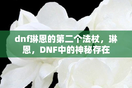 dnf琳恩的第二个法杖，琳恩，DNF中的神秘存在