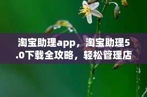 淘宝助理app，淘宝助理5.0下载全攻略，轻松管理店铺，提升工作效率